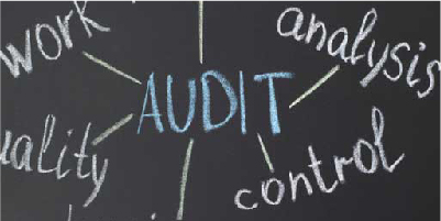 Internal Audit Services