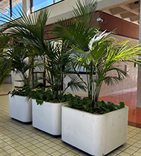 Douglas Deeds designed planters