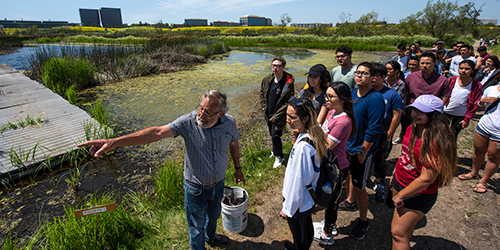 uci professor leads students in the san joaquin marsh